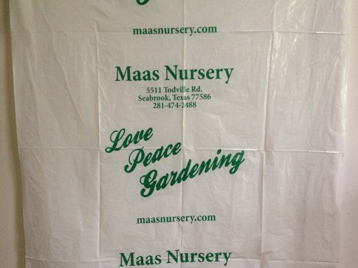 MAAS Nursery
