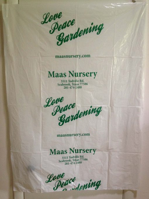 MAAS Nursery