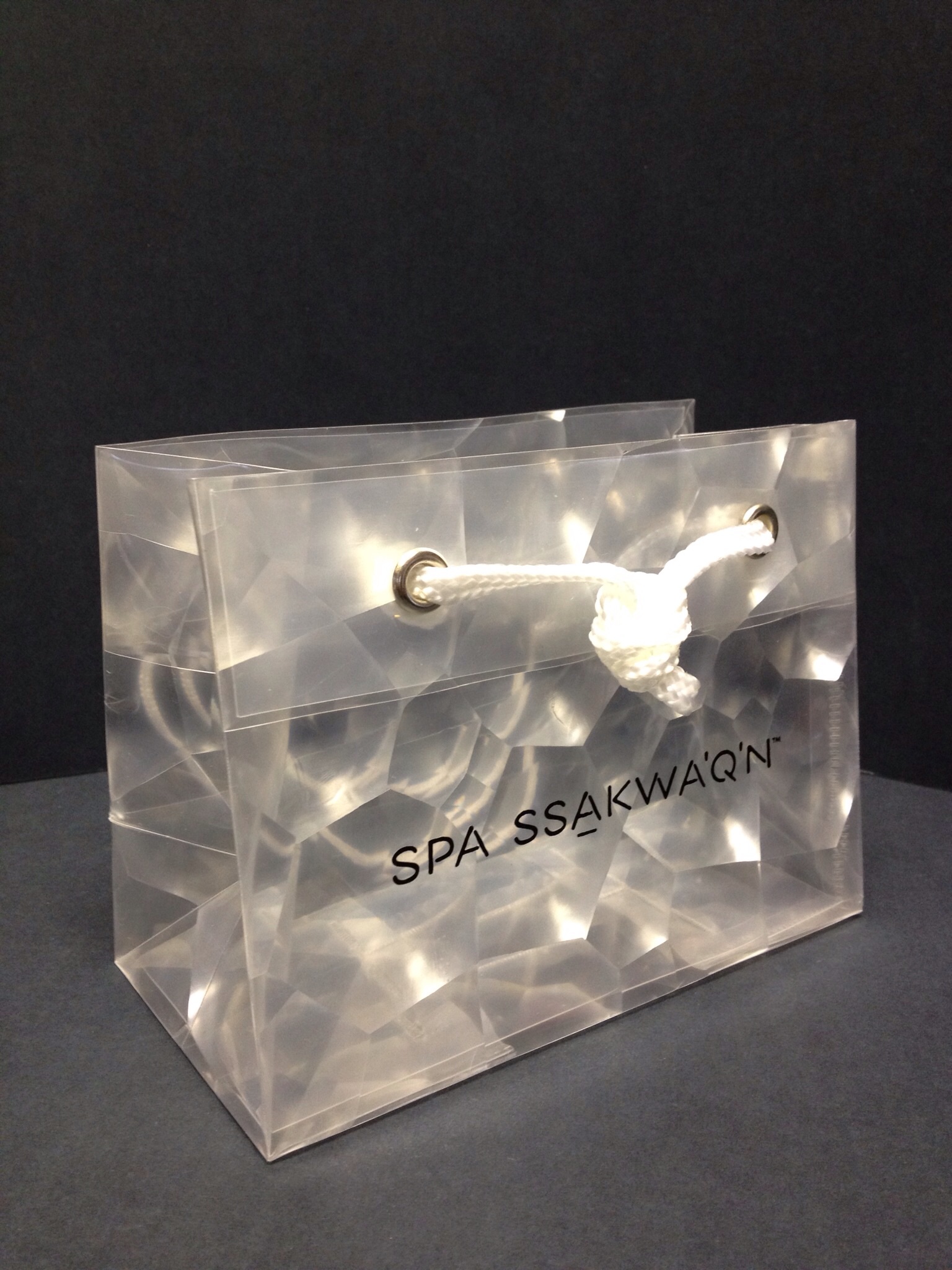 6x3x4.5"-3D Clear Prismatic Euro-Tote w/Gucci Handles & Silver Grommets hot stamped Matte Black