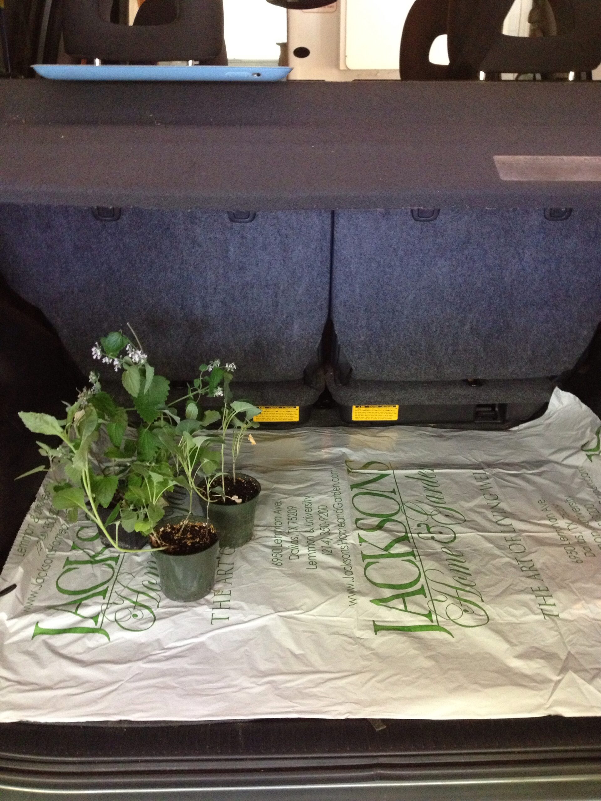 Jackson Trunk Liner w/plants