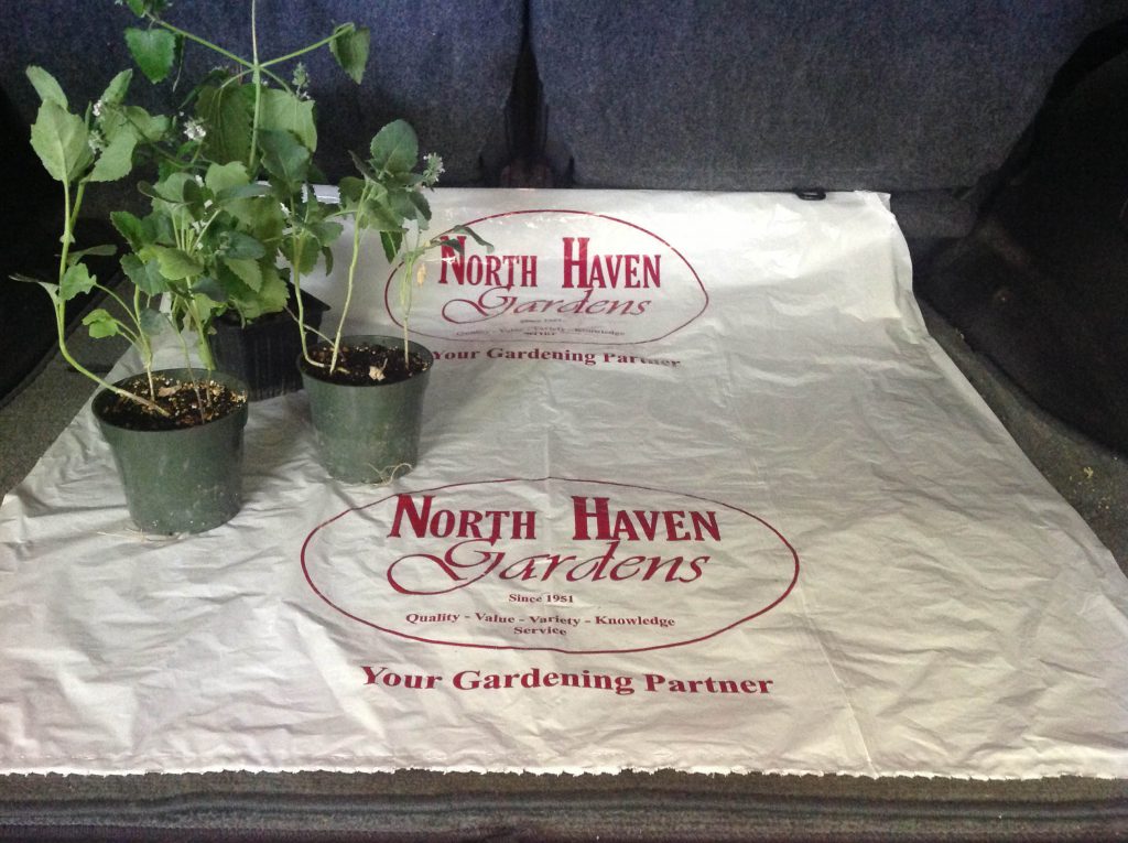 Dallas's best source for Trunk Liners