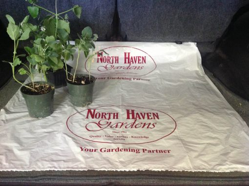 North Haven Gardens w/plants