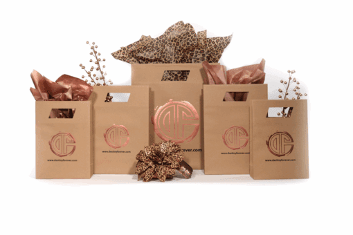 Die Cut Handle Bag - Kraft